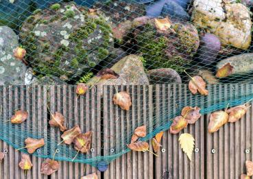 Teichschutznetz 6x5m